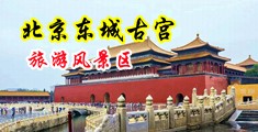 男人吃女人比比视频中国北京-东城古宫旅游风景区